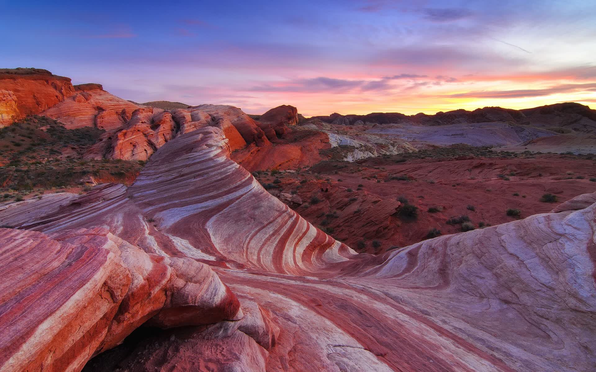 世界举重公开赛国际裁判诚信手册第二版发布，举重国际级裁判等级