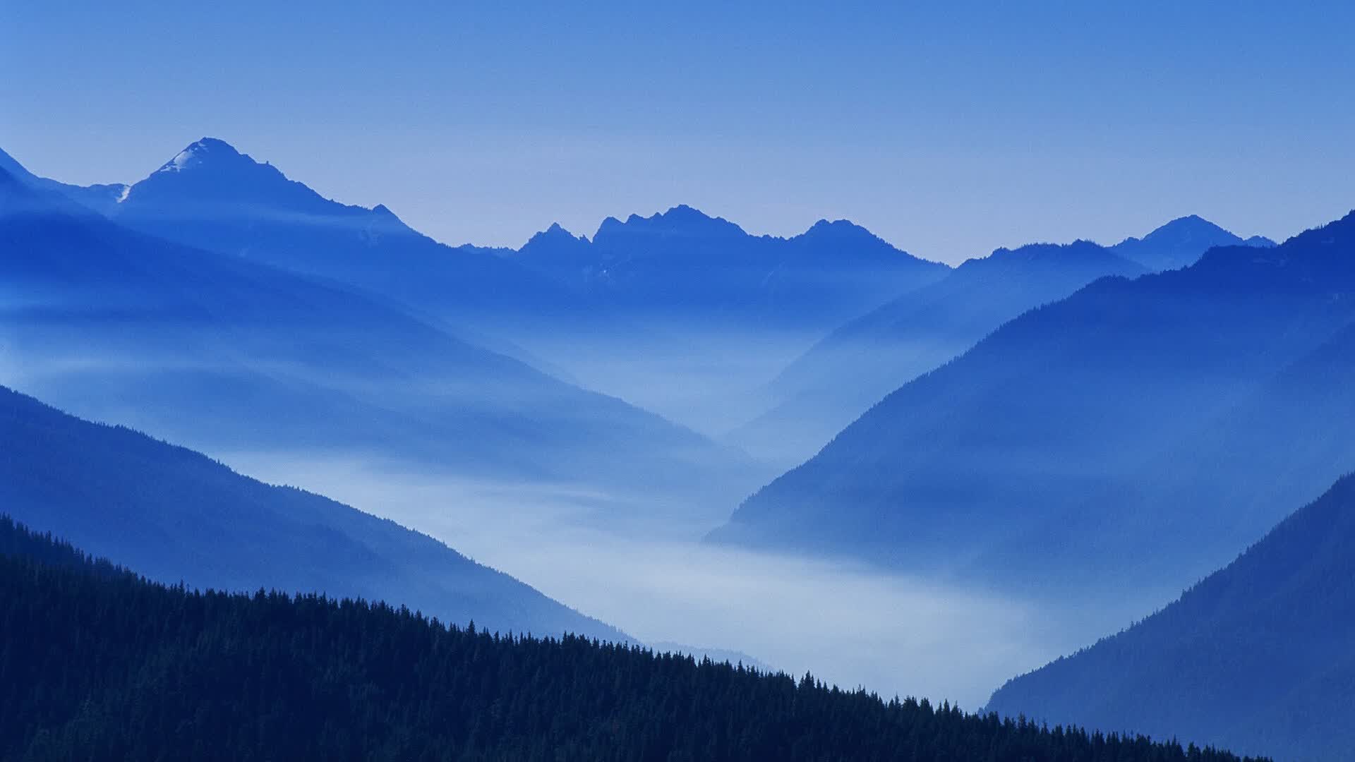 世界举重青年联赛教练员资格提升培训启动，世界举重选手